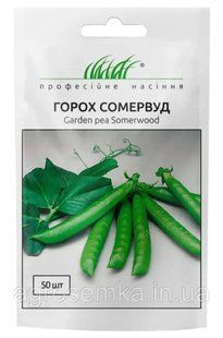 Горох Сомервуд 50шт / Syngenta 11604 фото