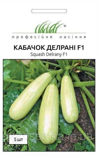 Семена Кабачок Делрани F1 5шт / Wing Seed 10886 фото