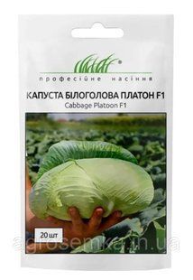 Капуста Платон F1 20шт / Nong Woo Bio 11615 фото