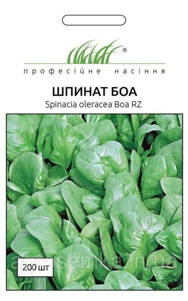 Семена Шпинат Боа 3г / Rijk Zvaan 10946 фото