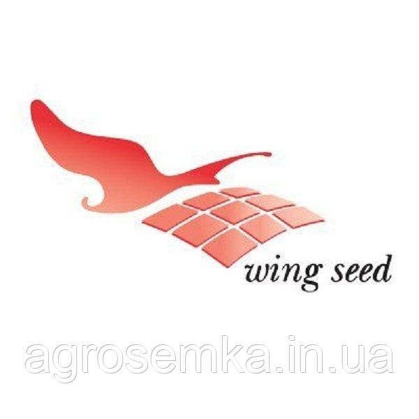 Семена Морковь Чикаго F1 400шт/ Wing Seed 10896 фото
