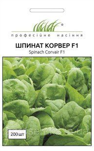 Шпинат Корвер F1 2г / Enza Zaden 10947 фото
