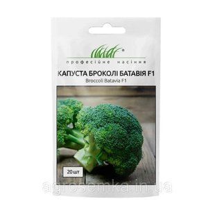 Семена Капуста брокколи Батавия F1/ Bejo Zaden 11174 фото