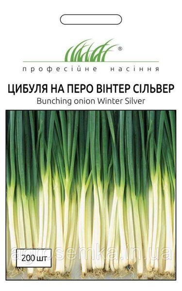 Семена Лук Винтер Сильвер 0.5г (на перо) / NongWoo Bio 10106 фото