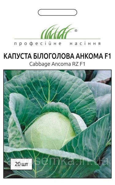 Семена Капуста Анкома F1 20шт / Rijk Zvaan 10054 фото