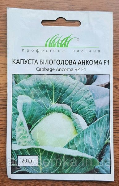 Семена Капуста Анкома F1 20шт / Rijk Zvaan 10054 фото