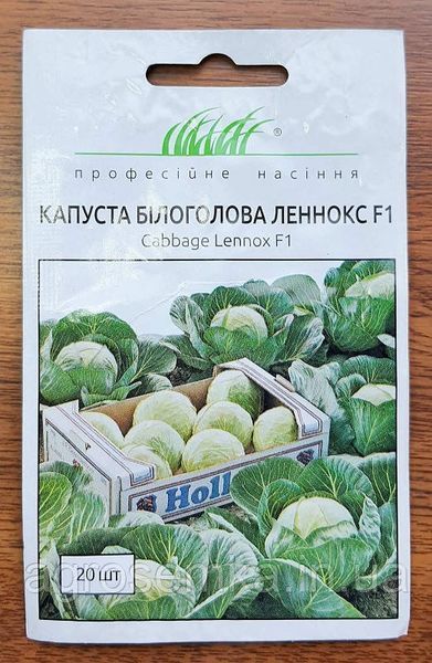 Семена Капуста Леннокс F1/ Bejo Zaden 11175 фото