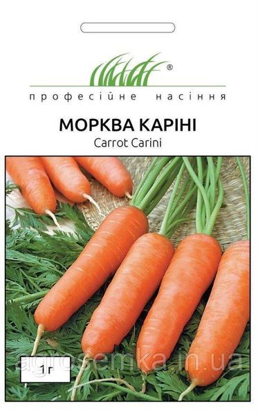 Семена Морковь Карини 1г / Bejo Zaden 10210 фото