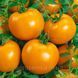 Томат Оранж Смак F1 10шт / Dorsing Seeds 10899 фото 3