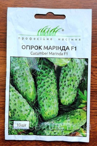 Семена Огурец Маринда F1 10шт / Seminis 10264 фото