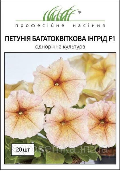Петуния мультифлора Ингрид F1 / Cerny 11671 фото