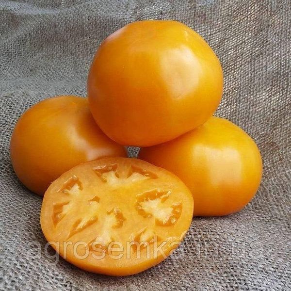 Семена Томат Айсан F1 10шт / Kitano Seeds 10900 фото