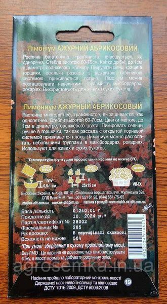 Лимониум Ажурный Абрикосовый (статица) 0.2г 10851 фото