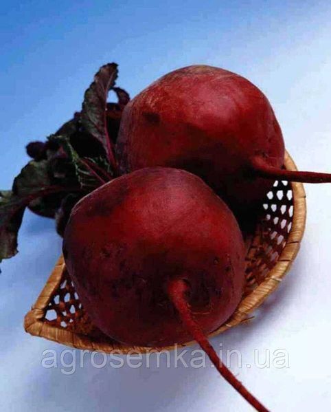 Семена Свекла столова Детройт дарк ред 20 г / United Genetics 10472 фото