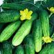 Семена Огурец Джерело 1г 10162 фото 2