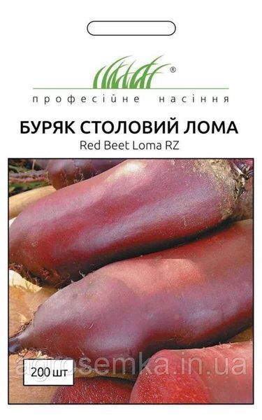 Семена Свекла столова Лома 200шт / Rijk Zvaan 10473 фото