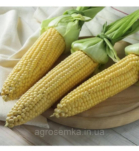 Кукурудза Акцент F1 20шт / Syngenta 11622 фото