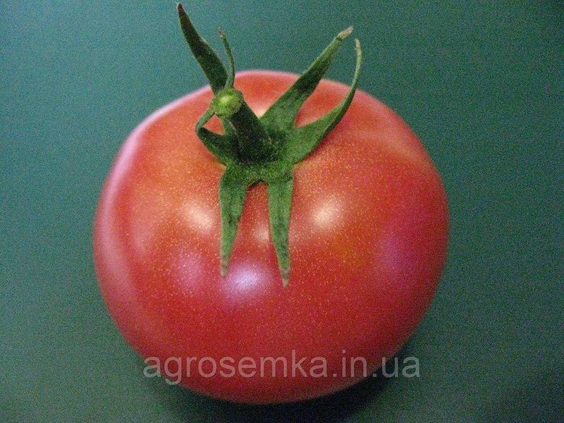 Томат Пінк Топ F1 8шт / NongWoo Bio 10902 фото
