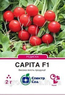Редиска Саріта F1, 2 г Спектр сад / Enza Zaden 11779 фото