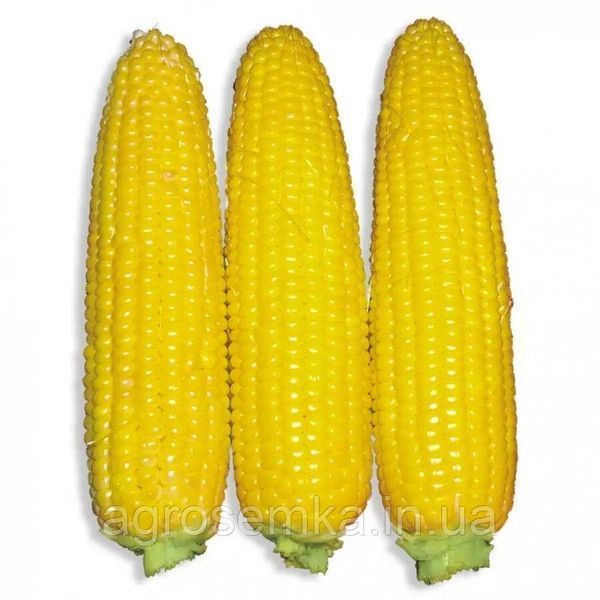 Семена Кукуруза Добрыня F1 15 шт / Lark Seeds 11180 фото