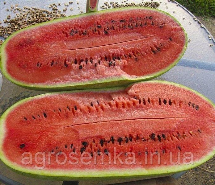 Семена Арбуз Чарльстон грей 1г / United Genetics 10423 фото