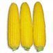 Семена Кукуруза Добрыня F1 15 шт / Lark Seeds 11180 фото 2