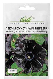 Петуния грандифлора Софистика F1 блэкберри 5шт / PanAmerican 11676 фото