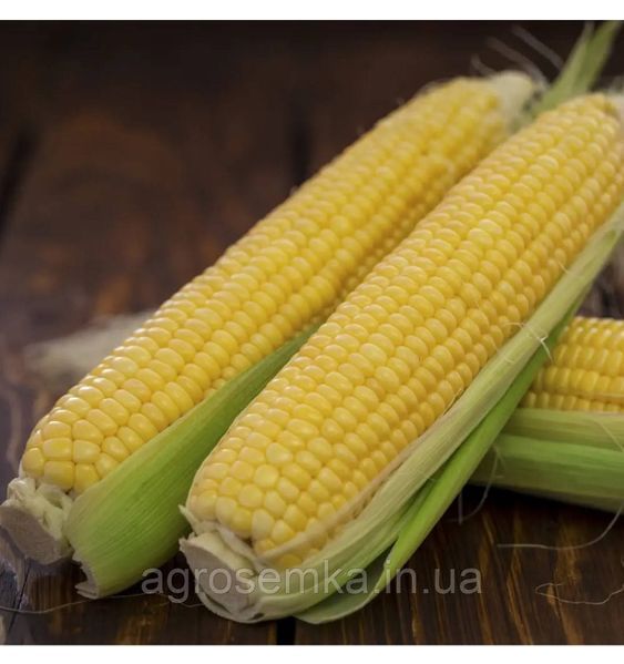 Кукурудза Форвард F1 15шт / Lark Seeds 11624 фото