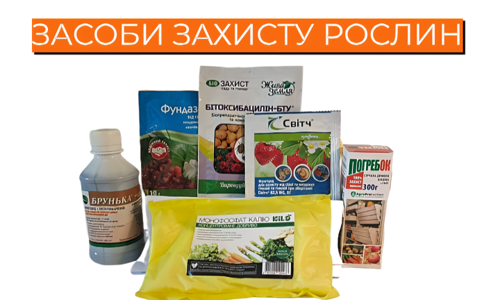 Захист 