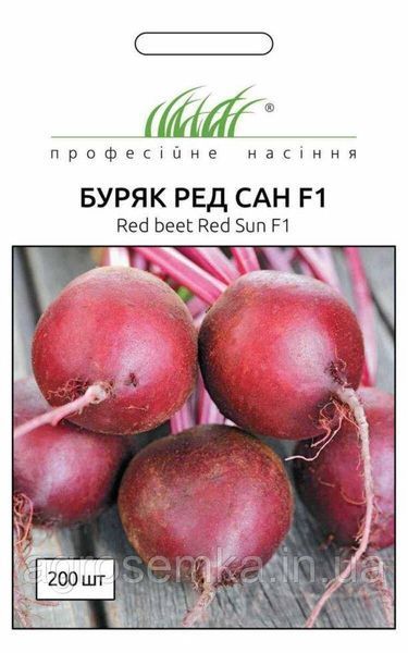 Семена Свекла столова Ред Сан F1 3г / United Genetics 10353 фото