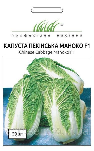 Капуста Пекинская Маноко F1 20 шт / Bejo Zaden 10301 фото