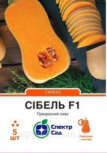 Гарбуз Сібель F1, 5 шт Спектр сад / Clause 11781 фото