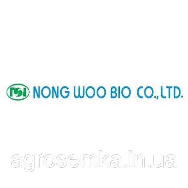 Семена Огурец Арктика F 50 шт / NongWoo Bio 10061 фото