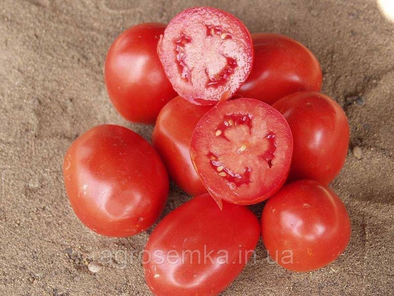 Насіння Томат Ріо Гранде 0,5 г / United Genetics 10905 фото