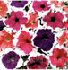 Петуния грандифлора Фрост F1 20шт / Syngenta Flowers 11678 фото 3