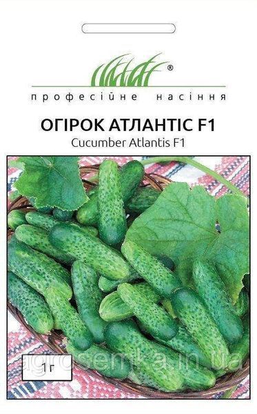 Насіння Огірок Атлантіс F1 50 шт / Bejo Zaden 11185 фото