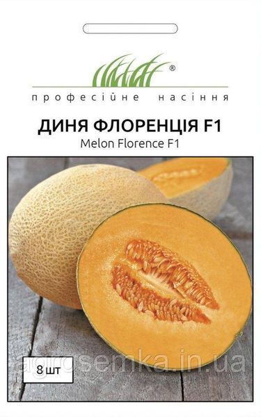 Семена Диня Флоренция F1 8 шт / United Genetics 10633 фото