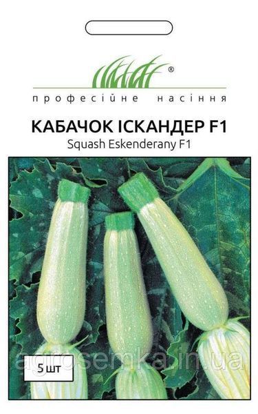 Семена Кабачок Искандер (Ескандерани) F1 5шт / Seminis 10012 фото