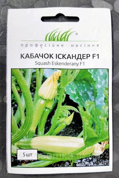 Семена Кабачок Искандер (Ескандерани) F1 5шт / Seminis 10012 фото