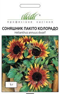 Подсолнечник низкорослый Пакито Колорадо 1г / Hem Zaden 11682 фото