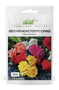 Бегония бульбовая махровая НонСтоп F1 10щт / Benary flowers 11630 фото