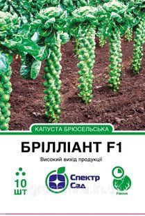 Брюссельская капуста Бриллиант F1, 10 шт Спектр сад / Hazera 11736 фото