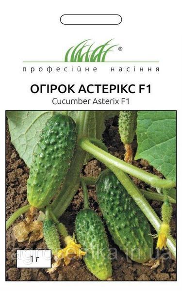 Семена Огурец Астерикс F1 20шт / Bejo Zaden 10066 фото