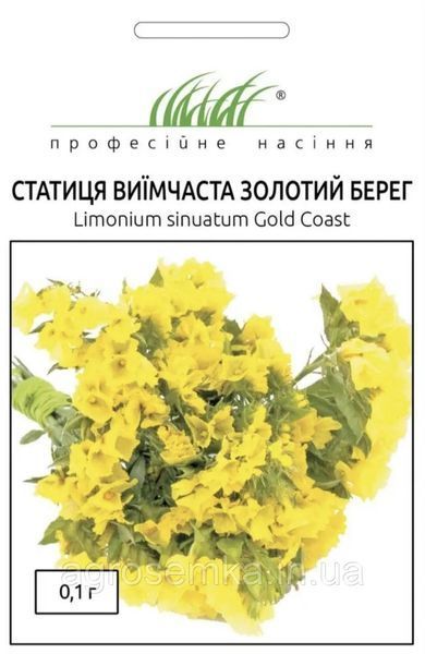 Статица выемная Золотой берег 0.1г / Hem Zaden 11801 фото