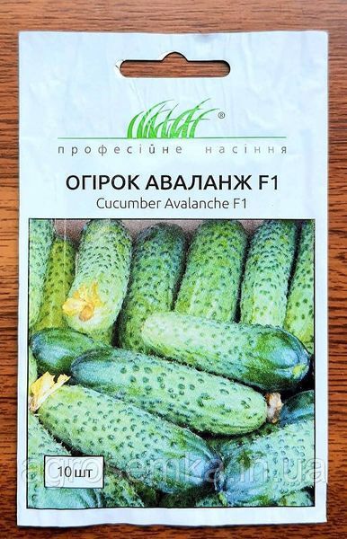 Семена Огурец Аваланж F1 10шт / NongWoo Bio 10015 фото