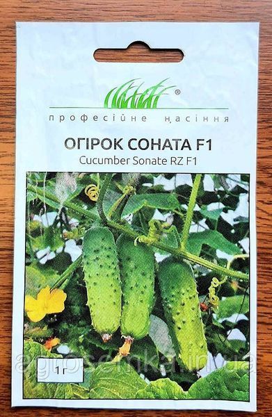 Насіння Огірок Соната F1 1г / Rijk Zwaan 11189 фото