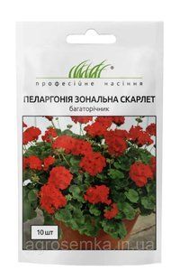 Пеларгония зональная Скарлет 10шт / Hem Genetics 11633 фото