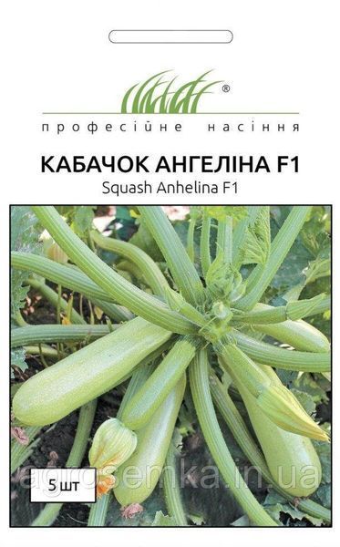 Семена Кабачок Ангелина F1 5 шт / Syngenta 10486 фото