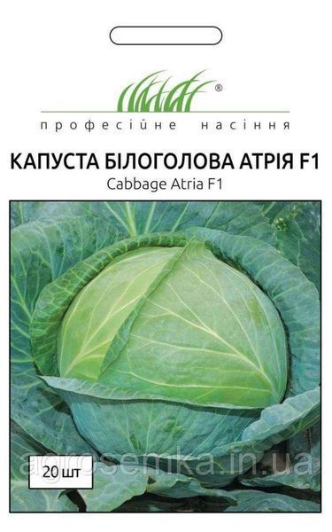 Семена Капуста Атрия F1 20шт / Seminis 10069 фото