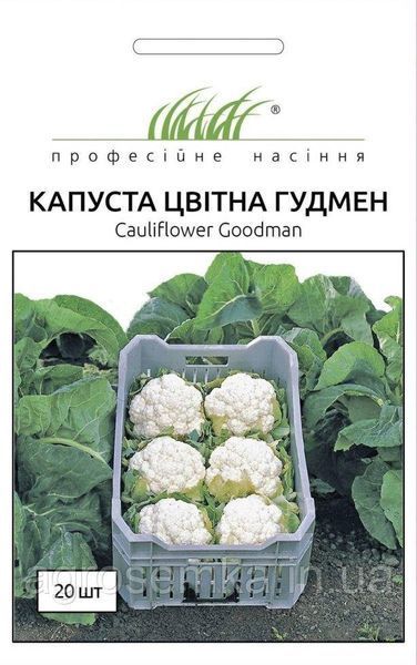 Насіння Капуста цвітна Гудмен 20шт / Bejo Zaden 10913 фото